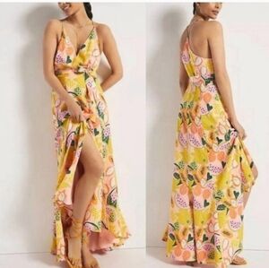 NWT Hutch Fruits Maxi Dress